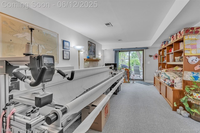 23637 Cranbrooke Dr, Novi, MI 48375 - miscellaneous room with carpet