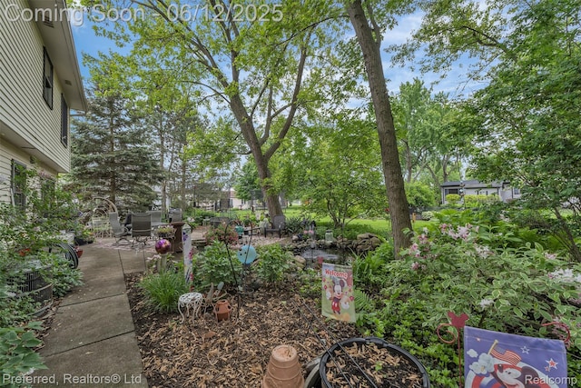 23637 Cranbrooke Dr, Novi, MI 48375 - view of yard with a patio area and view of wooded area