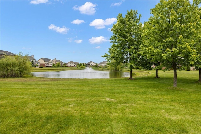998 Eagle Ave, Ann Arbor, MI 48103 - view of grassy yard with a water view and a residential view