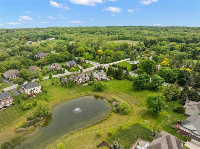 998 Eagle Ave, Ann Arbor, MI 48103 - aerial view of residential area featuring a nearby body of water and a forest