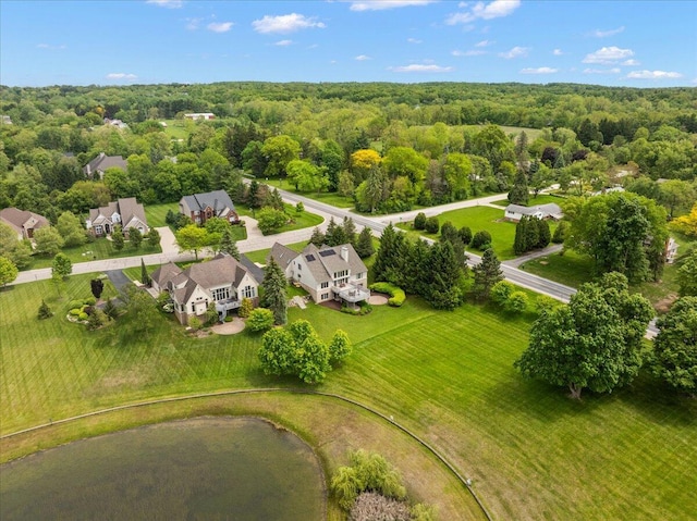 998 Eagle Ave, Ann Arbor, MI 48103 - aerial view of a forest and a nearby body of water