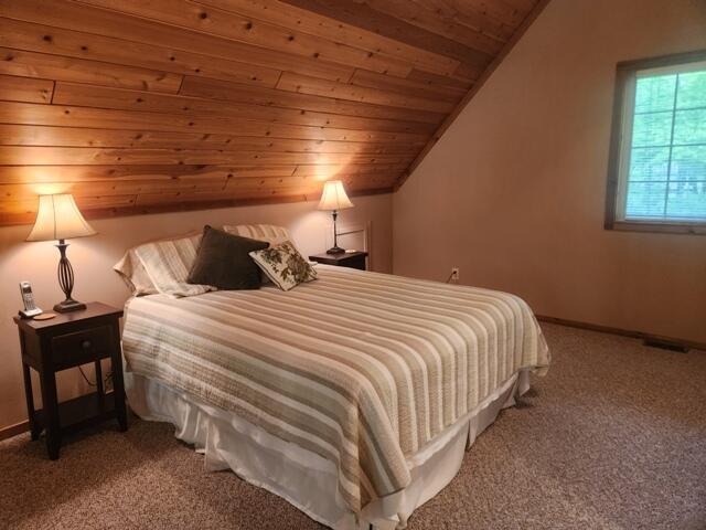 9316 S Oxeye Ave, Baldwin, MI 49304