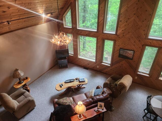 9316 S Oxeye Ave, Baldwin, MI 49304