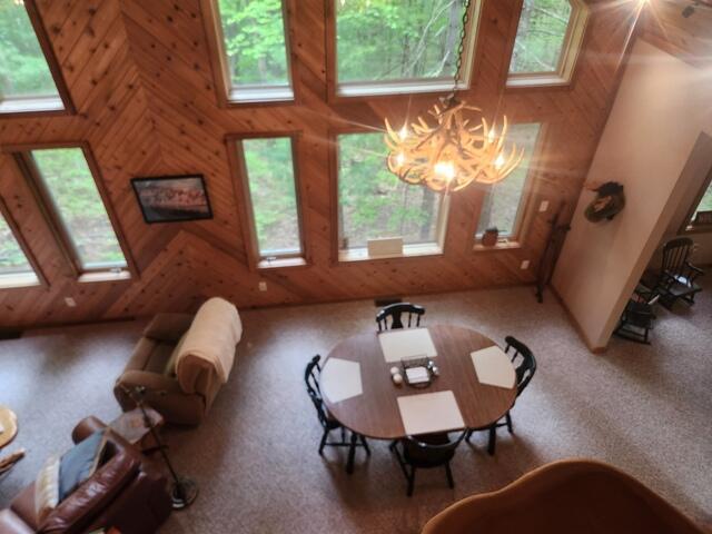9316 S Oxeye Ave, Baldwin, MI 49304