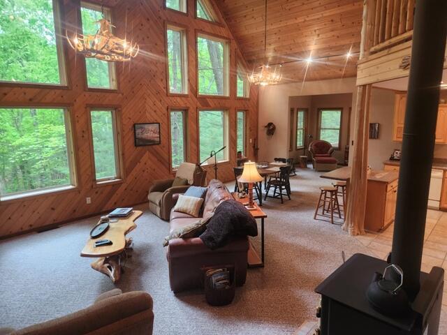 9316 S Oxeye Ave, Baldwin, MI 49304