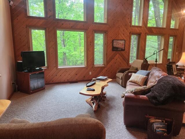9316 S Oxeye Ave, Baldwin, MI 49304