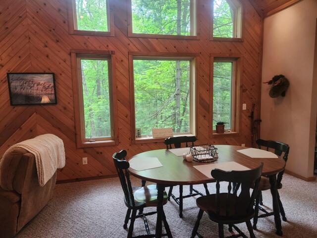 9316 S Oxeye Ave, Baldwin, MI 49304