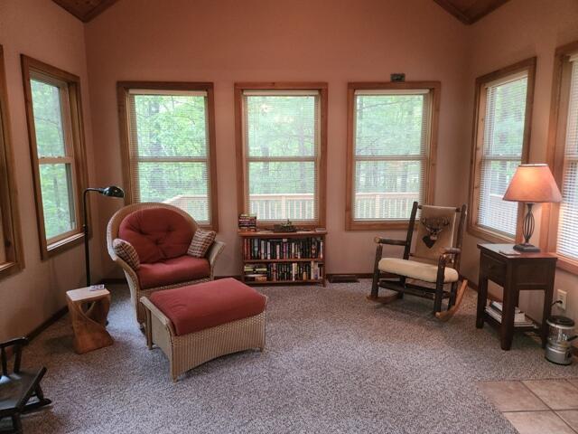 9316 S Oxeye Ave, Baldwin, MI 49304