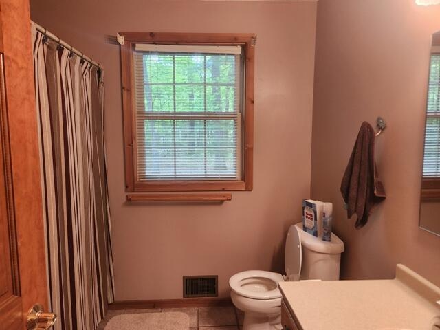 9316 S Oxeye Ave, Baldwin, MI 49304