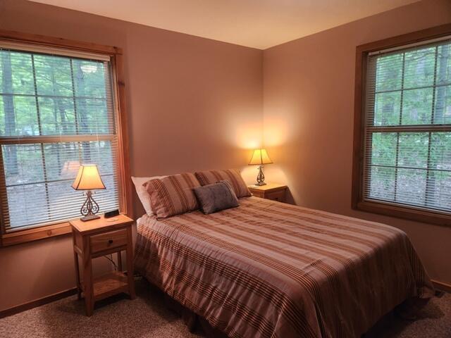 9316 S Oxeye Ave, Baldwin, MI 49304