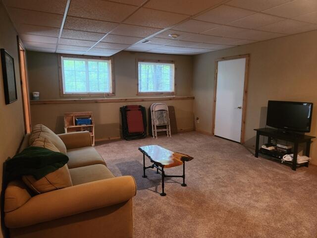 9316 S Oxeye Ave, Baldwin, MI 49304