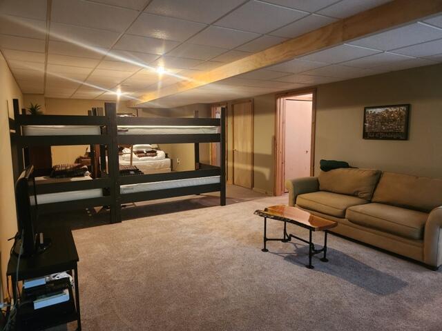 9316 S Oxeye Ave, Baldwin, MI 49304