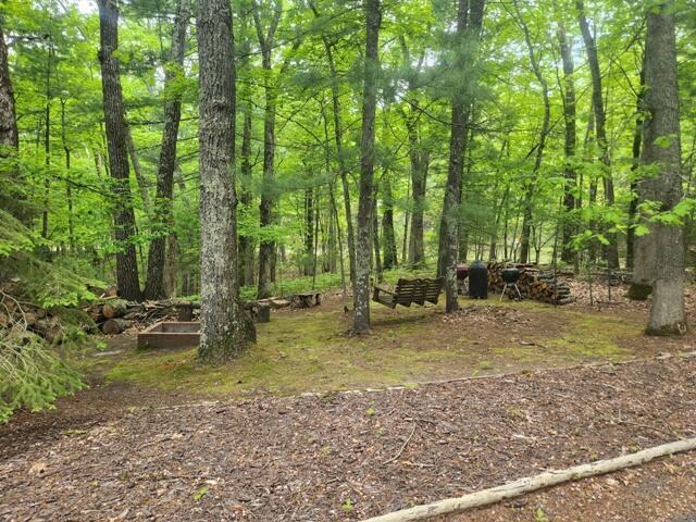 9316 S Oxeye Ave, Baldwin, MI 49304