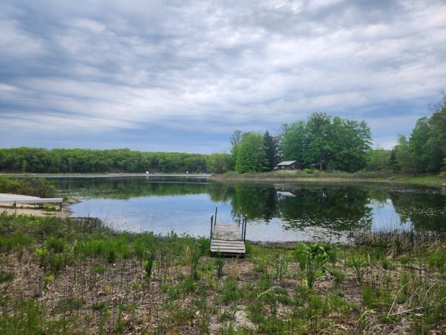9316 S Oxeye Ave, Baldwin, MI 49304