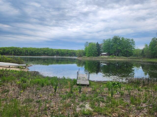 9316 S Oxeye Ave, Baldwin, MI 49304