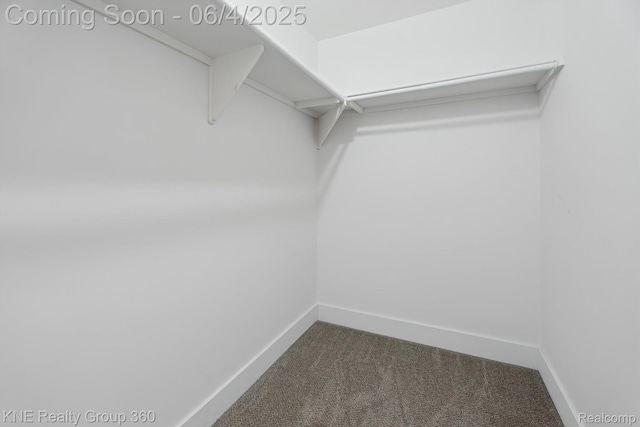 1720 Carlisle St, Howell, MI 48855 - spacious closet with carpet