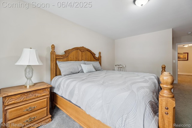 1720 Carlisle St, Howell, MI 48855 - view of carpeted bedroom