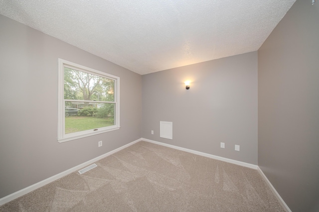 242 S Wallace Blvd, Ypsilanti, MI 48197 - empty room with light colored carpet, baseboards, and a textured ceiling