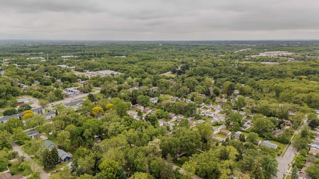 242 S Wallace Blvd, Ypsilanti, MI 48197 - bird's eye view of a forest