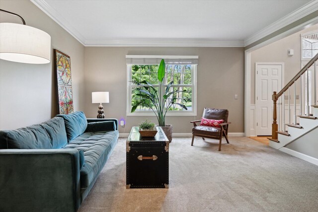 71438 Forest Eagle Ln, Niles, MI 49120 - living room featuring ornamental molding, carpet, stairs, and baseboards
