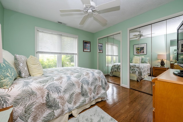193 Wayne St, Saint Joseph, MI 49085 - bedroom with multiple closets, wood finished floors, multiple windows, and a ceiling fan