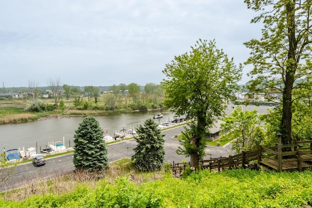 193 Wayne St, Saint Joseph, MI 49085 - water view