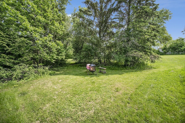 111 N Maple Rd, Saline, MI 48176 - view of green lawn