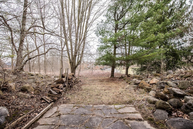 3329 Craig Rd, Ann Arbor, MI 48103 - view of yard