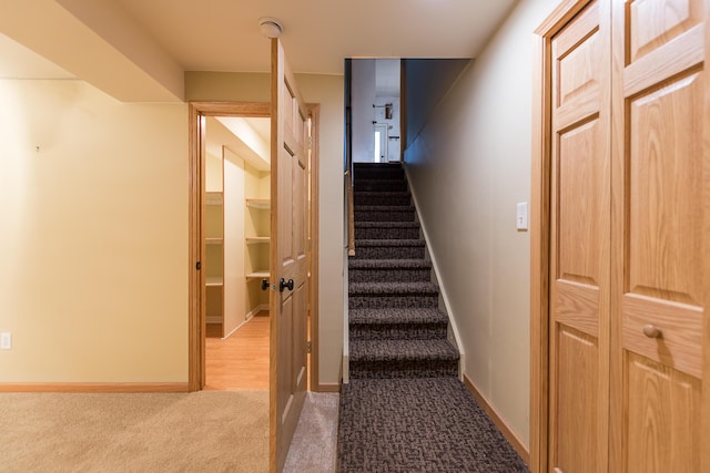 3329 Craig Rd, Ann Arbor, MI 48103 - stairs featuring carpet flooring and baseboards