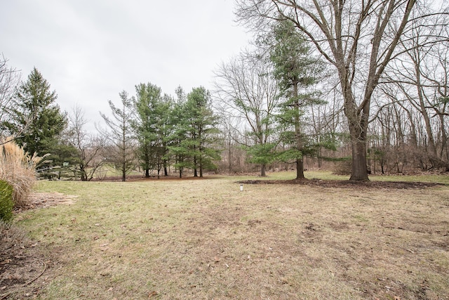 3329 Craig Rd, Ann Arbor, MI 48103 - view of green lawn