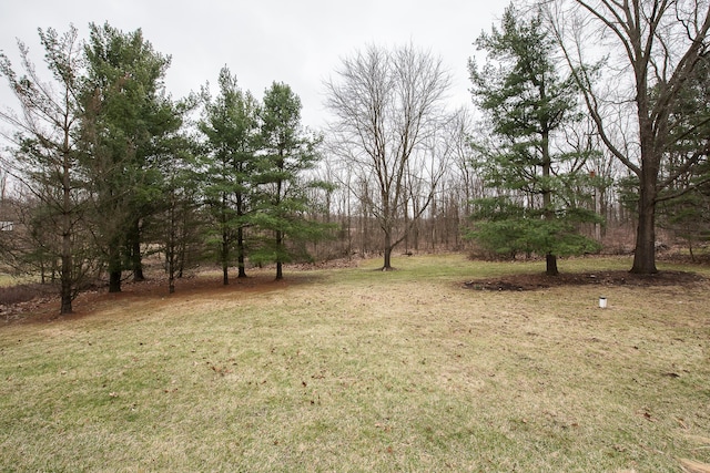 3329 Craig Rd, Ann Arbor, MI 48103 - view of green lawn