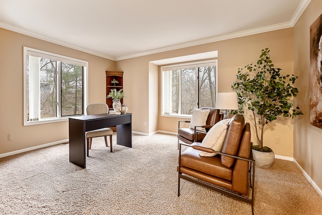 3329 Craig Rd, Ann Arbor, MI 48103 - office space with light carpet, ornamental molding, and baseboards