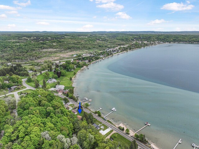 7510 Crystal Dr, Beulah, MI 49617