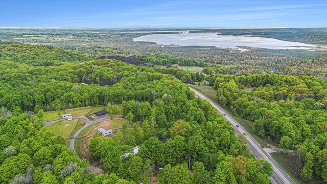 5575 M 72, Williamsburg, MI 49690 - photo 86