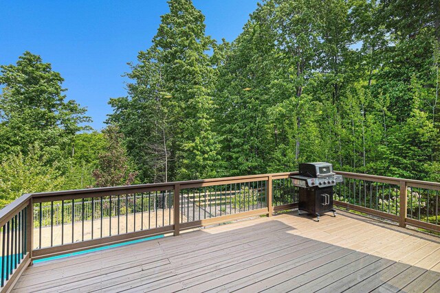 5575 M 72, Williamsburg, MI 49690 - photo 50