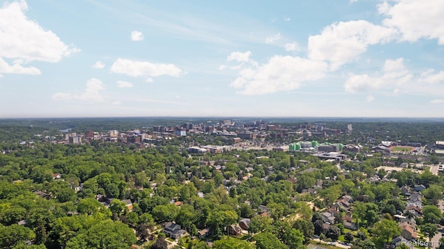 1139 S 7th St, Ann Arbor, MI 48103 - bird's eye view