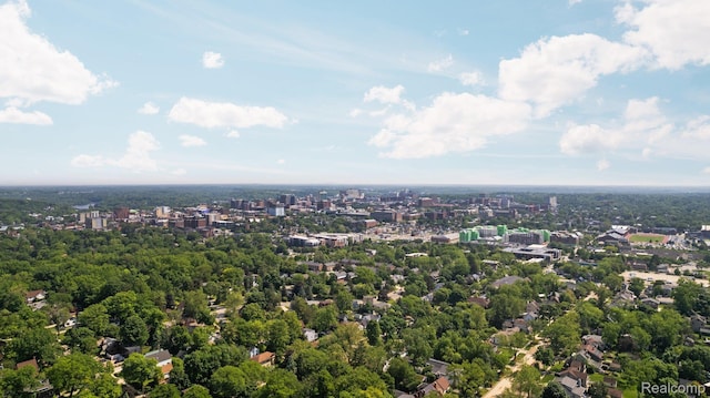 1139 S 7th St, Ann Arbor, MI 48103 - bird's eye view