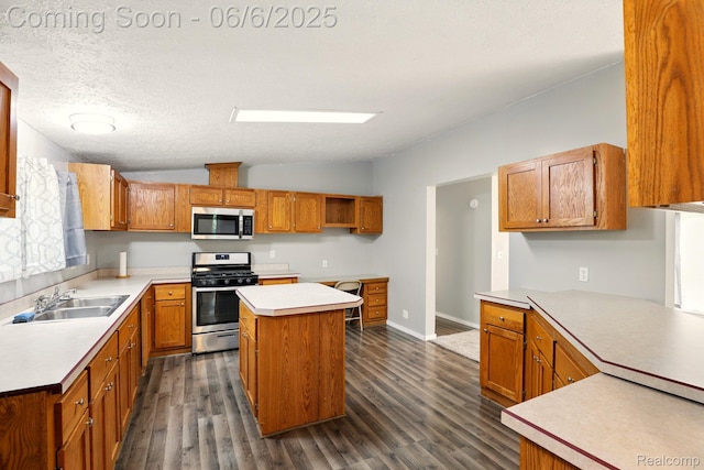 10900 Tuttlehill Rd, Milan, MI 48160 - kitchen with appliances with stainless steel finishes, a sink, lofted ceiling, dark wood-style floors, and light countertops