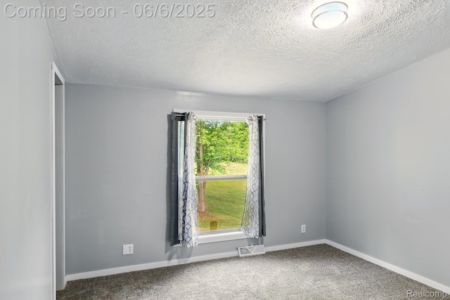 10900 Tuttlehill Rd, Milan, MI 48160 - empty room featuring carpet, baseboards, and a textured ceiling
