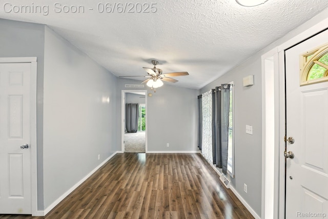 10900 Tuttlehill Rd, Milan, MI 48160 - foyer entrance with plenty of natural light, dark wood-style floors, ceiling fan, baseboards, and a textured ceiling