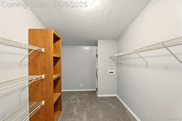 10900 Tuttlehill Rd, Milan, MI 48160 - walk in closet featuring carpet flooring