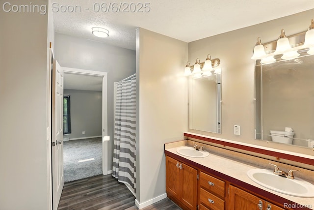 10900 Tuttlehill Rd, Milan, MI 48160 - full bathroom featuring wood finished floors, double vanity, baseboards, and a textured ceiling