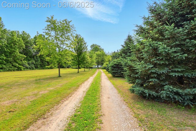 10900 Tuttlehill Rd, Milan, MI 48160 - view of road