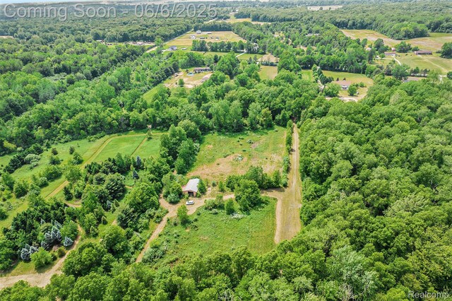 10900 Tuttlehill Rd, Milan, MI 48160 - view of property location