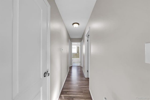 15487 Greydale St, Detroit, MI 48223 - corridor with dark wood-type flooring and baseboards