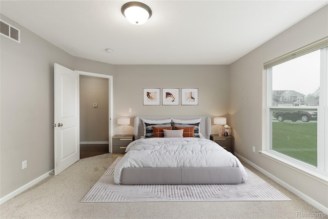 13135 River Rock Pass, Linden, MI 48451 - bedroom featuring baseboards and carpet flooring