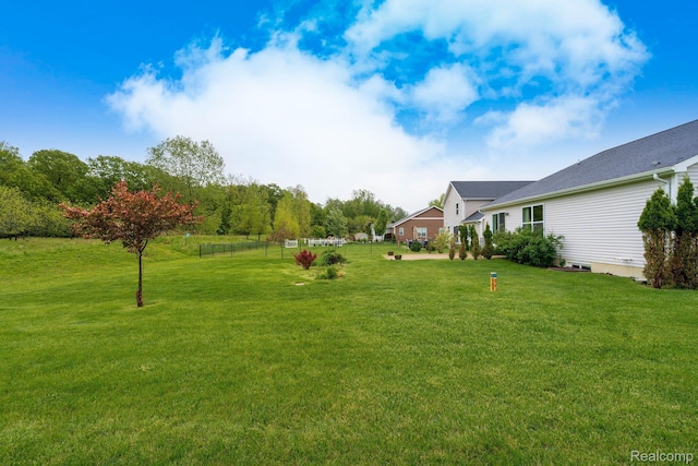 13135 River Rock Pass, Linden, MI 48451 - view of yard
