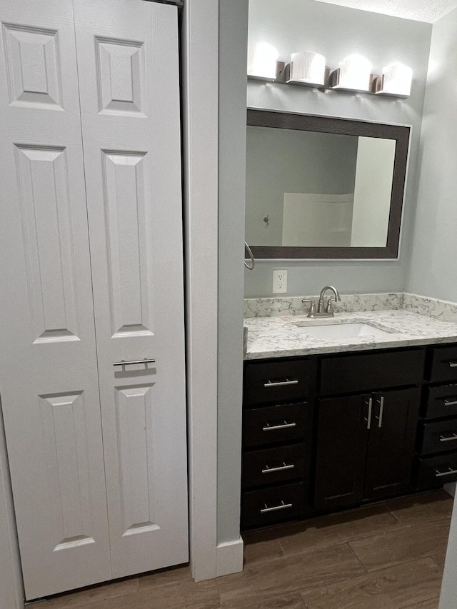1302 Barnes St, Albion, MI 49224 - bathroom with vanity, wood finished floors, and a closet