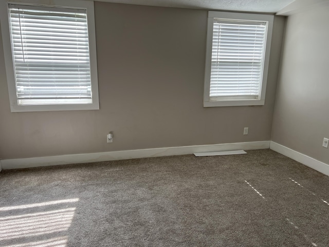 1302 Barnes St, Albion, MI 49224 - unfurnished room with carpet floors, baseboards, and plenty of natural light