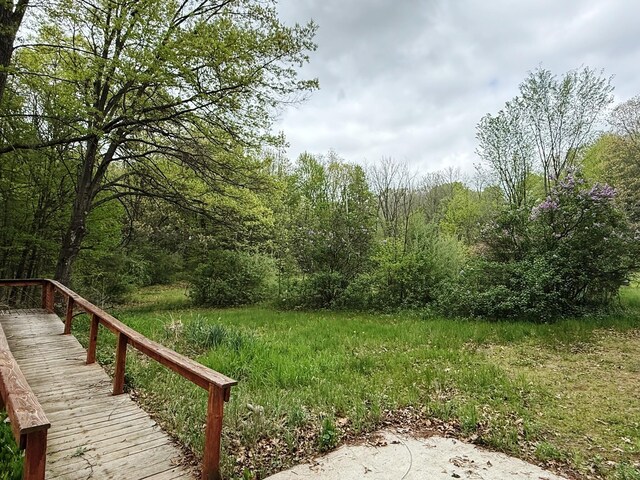 10750 16 Mile Rd NE, Cedar Springs, MI 49319 - view of yard with a view of trees